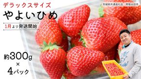 【 先行予約 】 やよいひめ ( 4パック ) 特大 デラックス サイズ 【 2026年1月から発送開始 】 ( 茨城県共通返礼品 : 常陸太田市 ) 約 300g × 4 パック やよいひめ ヤヨイヒメ 弥生姫 いちご 数量限定 果物 くだもの フルーツ 苺 イチゴ 期間限定 [ES013us]