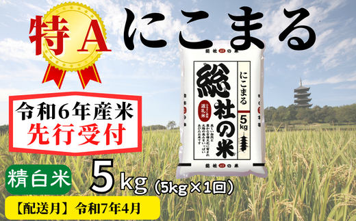 令和6年産】特Aにこまる【精白米】5kg 岡山県総社市産米〔令和7年4月