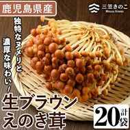 生ブラウンえのき茸(20袋・計3.6kg)国産 エノキ きのこ 茸 キノコ 個包装【三笠えのき茸生産組合】a-12-220-z