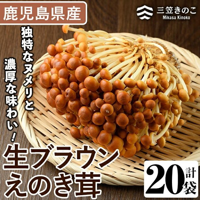 yvszuÊ(20܁Ev3.6kg)Y GmL ̂  LmR yO}̂Ygzakn010-09