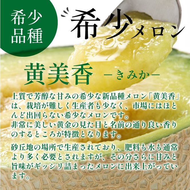 【先行予約／数量限定50】希少品種 黄美香（きみか）メロン 2玉（2026年7月下旬～発送） 国産 ギフト めろん 先行予約 期間限定 ふるさと 納税 フルーツ くだもの 果物　DE00175