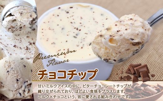 2335. くりーむ童話 カップアイス チョコチップ 100ml×6個 アイスクリーム アイス スイーツ 牛乳 ミルク 贈り物 gift ギフト プレゼント 詰め合わせ 送料無料 北海道 弟子屈町