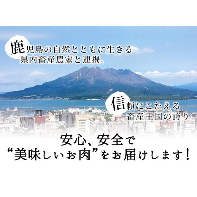 和牛日本一！＜鹿児島黒牛＞ウデスライスセット1.2kg b8-014