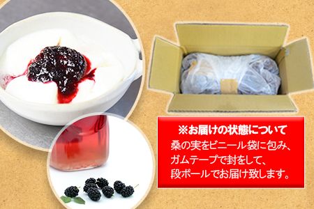 ＜桑の実（冷凍） 1kg＞翌月末迄に順次出荷【c808_mz_x4】