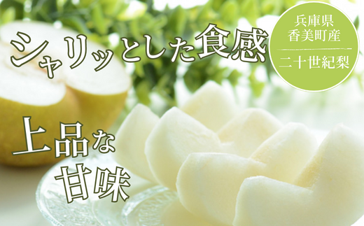 【先行予約】【梨 20世紀梨 香住梨 5kg 大きめ（1玉350g～500gを10～14玉）】大人気 ふるさと納税 おすすめ 返礼品 ランキング 二十世紀梨 シャキシャキの食感 ほどよい甘さとみずみず