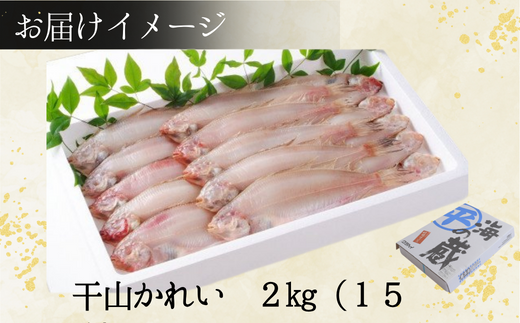 【干物 甘干し山かれい2kg（15枚入り）干物の本場 香住産 冷凍】発送目安：入金確認後、順次発送いたします。兵庫県 香美町 ふるさと納税 蔵平水産 08-06