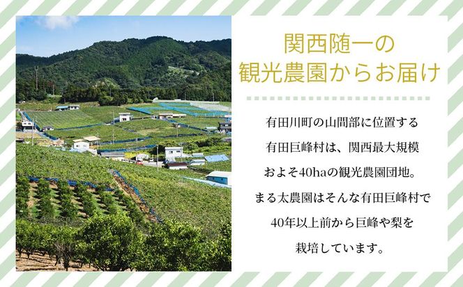 農家直送食べ頃をお届け！豊水梨　約４ｋｇ［2026年8月中旬以降順次発送］  	AZ05