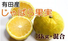 ［厳選］有田産のじゃばら果実約3kg   	BZ023