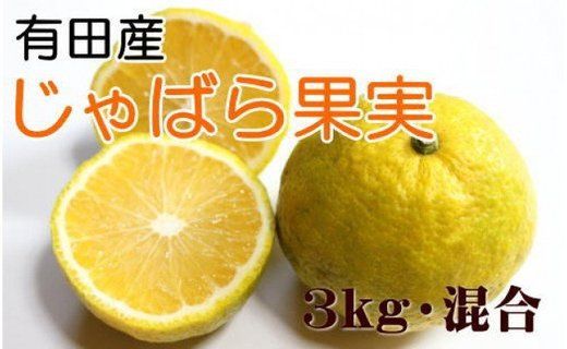 【厳選】有田産のじゃばら果実約3kg  BZ023