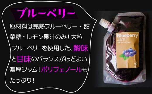 無添加 青パパイヤ・いちじく・ブルーベリーのジャム 3色セット H164-006