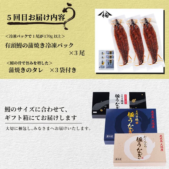 【定期便全5回】うなぎ2.1kg！5ヶ月間うなぎが楽しめる定期便！ t0098-001