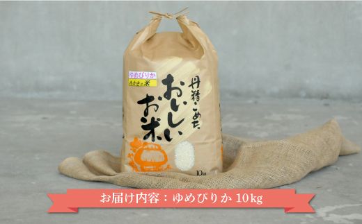 令和7年産 三笠産のおいしい米 ゆめぴりか(10kg)《令和７年10月頃より発送予定》【2700101】