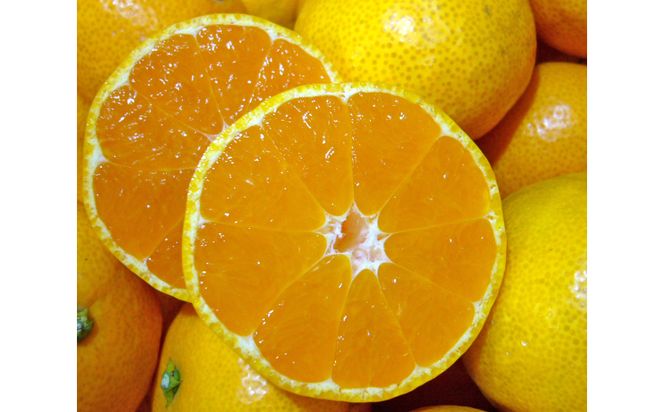 417.有田みかんの酒(ワイン)2本セット (A417-1)