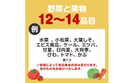 【JA直売所セレクト】12ヵ月定期便！旬鮮野菜・果物セット（12～14品目）　K072-T02