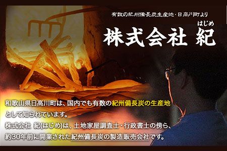 紀州備長炭 馬目荒 約15kg 株式会社紀 《30日以内に出荷予定(土日祝除く)》 和歌山県 日高川町 備長炭 炭 プロの 料理人 愛用---wshg_hjm4_30d_23_55000_15kg---