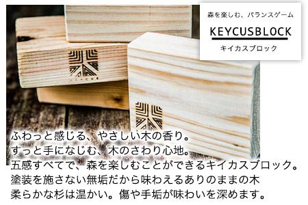 熊本県 御船町 キイカスブロック 30個 ＋スタンドセット オブジェ ナチュラルインテリア 収納バック KEYCUSプロジェクト事務局 國武林業《30日以内に出荷予定(土日祝除く)》 杉 積み木 おもちゃ ゲーム 森---ism_kuniobjet_30d_21_96000_13kg---