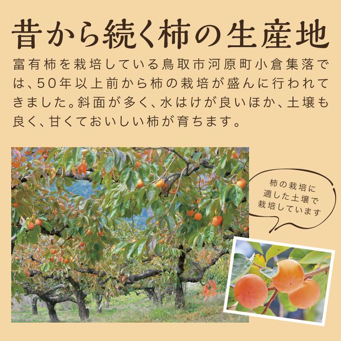 0287 富有柿