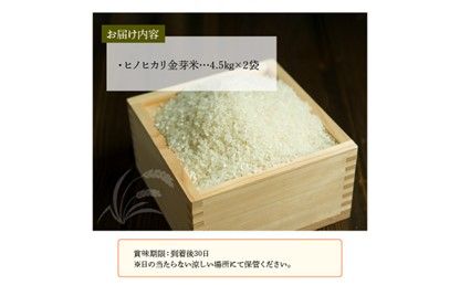【B01020】大分丹生米の里ヒノヒカリ金芽米　4.5kg×2袋