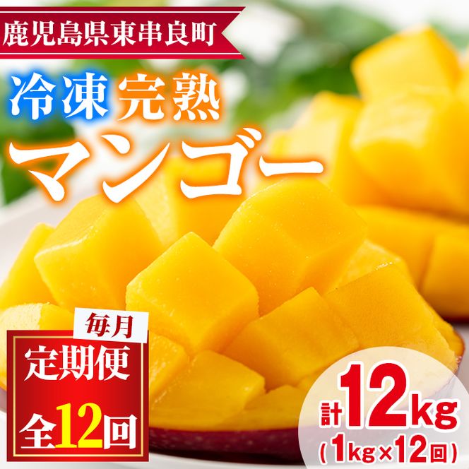 【156951】＜定期便・全12回(連続)＞鹿児島県産！南国の恵み！丸ごと冷凍完熟マンゴー(1kg×12回)果物 フルーツ 果実 冷凍 デザート 国産【甘宮】