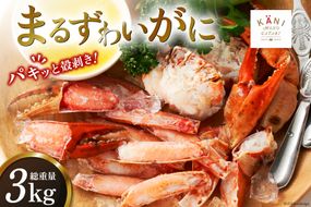 大人気！リピーター続出 まるずわいがに 肩脚肉 総重量3kg (9-15肩相当) [カネダイ 宮城県 気仙沼市 20563327] かに カニ かに物語 まるズワイガニ 丸ずわいがに マルズワイガニ 蟹 ずわい