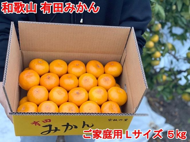 【ご家庭用・サイズＬ】和歌山有田産！早生みかん≪5kg≫【予約販売】【数量限定】まる隆果樹園 CS021