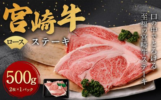y{茧S璬z{苍 [X Xe[L 2 500gɏoׁyc1187_yaz