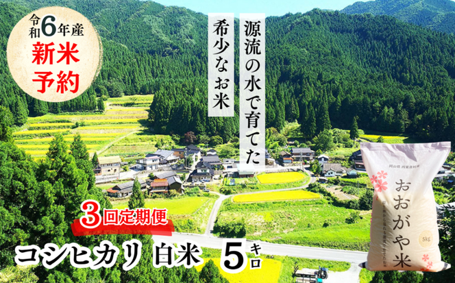 【3回定期便】白米 5kg 令和6年産 コシヒカリ 岡山 「おおがや米」生産組合 G-af-BDZA