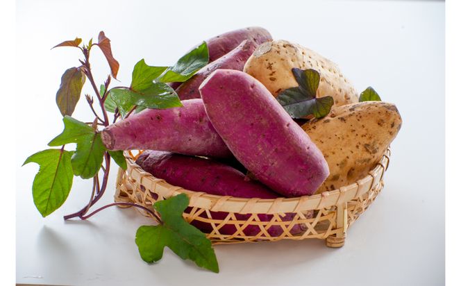 【御菓子御殿】県産紅いもをたっぷり絞った＜紅いもロール12cm＞3本セット 〇 冷凍発送 沖縄 読谷村産 セット商品 読谷本店 スポンジ生地 クリーム 紅いも 人気商品 名護店 国際通り店 恩納店