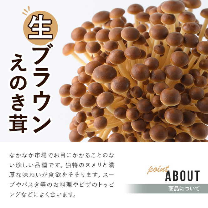 生ブラウンえのき茸(20袋・計3.6kg)国産 エノキ きのこ 茸 キノコ 個包装【三笠えのき茸生産組合】akn010-09