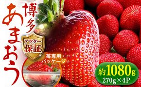 【予約受付】【2025年2月1日より順次発送】農家直送 朝採り新鮮いちご【博多あまおう】約270g×4《築上町》【株式会社H&Futures】[ABDG004]