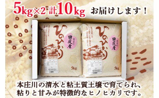 ＜田尻産ヒノヒカリ10kg(5kg×2袋)＞翌月末迄に順次出荷【a0164_oc】