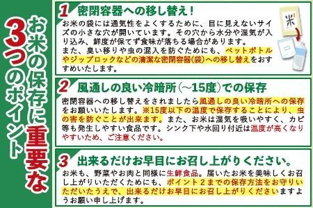 【3ヶ月定期便】無洗米 訳あり 熊本ふるさと無洗米 12kg《お申込み月の翌月から出荷開始》 熊本県産 無洗米 12kg 精米 御船町 計3回お届け 10kg 以上 米 コメ 6kg×2袋 無洗米 ヒノヒカリ 使用 訳あり おこめ お米 熊本 ふるさと無洗米---fmstei_36000_12kg_mo3num1---