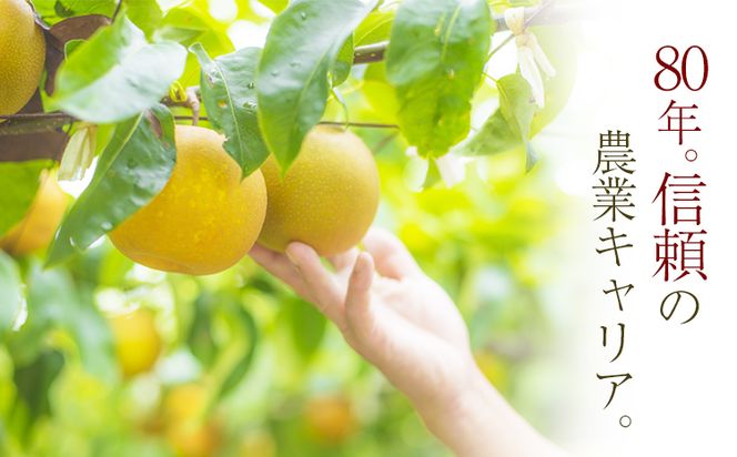 【先行予約】秋 旬 梨 期間限定 【日付指定不可】梨 『松田農園』の くまもと 梨 たっぷり 約2kg 5-7玉前後 予約 受付中 熊本県玉名郡玉東町『松田農園』なし 果物 スイーツ フルーツ デザート スムージー 《7月下旬-9月末頃出荷》 SDG`s---sg_cmtdnasi_cf79_26_10000_2kg---