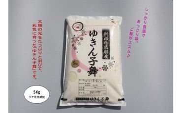 【令和6年産米】【3ヶ月定期便】ゆきん子舞 白米 5kg×3ヶ月  1039021 お米 米 精米 ご飯 ごはん