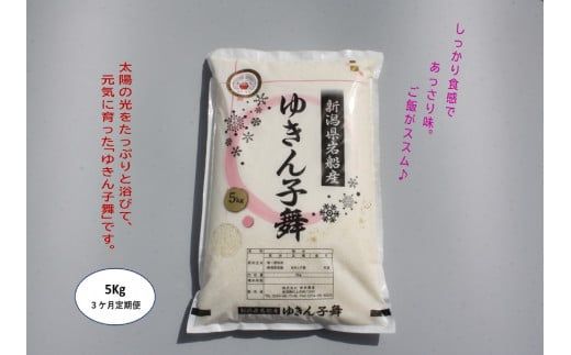 【令和6年産米】【3ヶ月定期便】ゆきん子舞 白米 5kg×3ヶ月  1039021 お米 米 精米 ご飯 ごはん