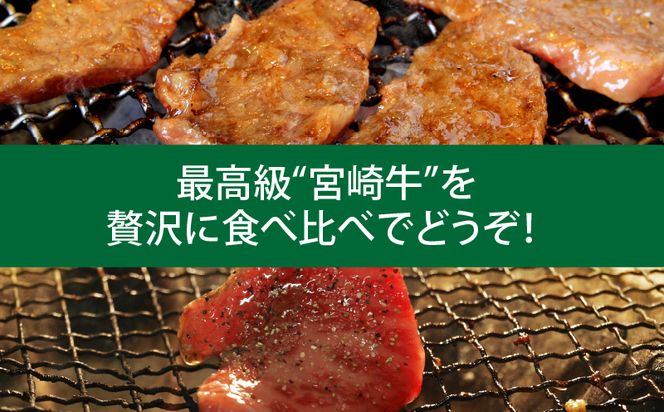 定期便 宮崎牛 焼肉 食べ比べ 3ヶ月 コース_M109-T018