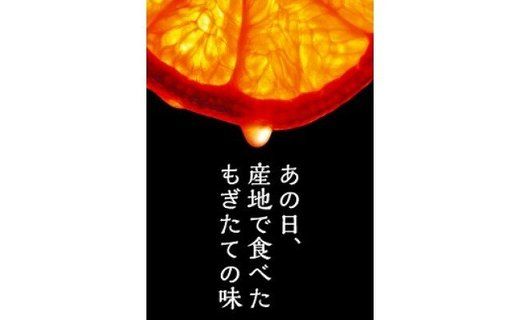 【賢宝】マルケンみかん果汁100％ジュース　（化粧箱／7本入り）もぎたてみかん味のストレートジュース E023