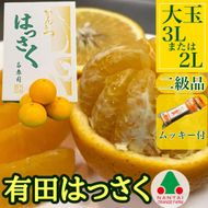 手詰め 有田 はっさく 大玉 3L × 6玉 または 2L × 7玉 ちょっと 傷あり ムッキー 同梱 南泰園 みかん  BS711