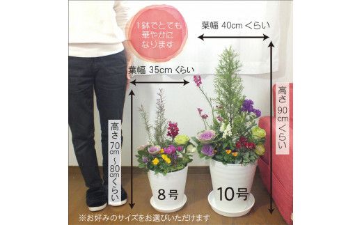 C032 季節の花の寄せ植え　８号鉢　選べる鉢色　室内園芸装飾マイスター岡部太郎氏監修