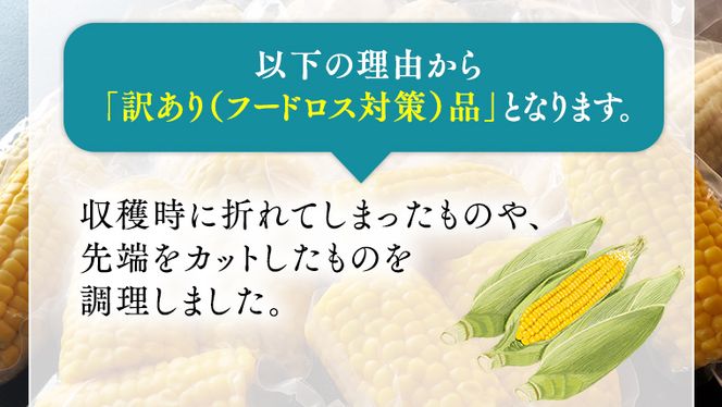 【 先行予約・7月中旬以降発送 】 【 訳あり 】 加熱調理済み 真空 とうもろこし 3品種 食べ比べ セット（ ゴールドラッシュ＆クリスピーホワイト＆おおもの ） 約3kg トウモロコシ 食べくらべ 無添加 保存料不使用 真空パック 甘い 新鮮 [AU076ya]