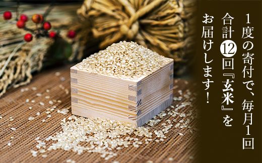 【定期便・令和5年産米】藤子ばぁちゃんのまごころ米玄米 5kg×12回（毎月）144002