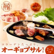 【コラーゲンたっぷり！】オーギョプサル(皮付豚肉)味噌・塩セット(2～4人前)《 肉 豚肉 豚 オーギョプサル 自家製キムチ 巻き野菜付き セット 》【2302A09911】