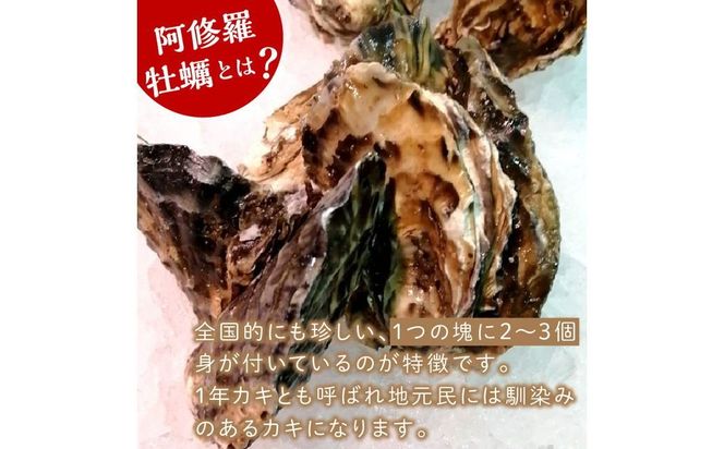 【予約：2026年10月中旬から順次発送】サロマ湖産 海のミルク 阿修羅牡蠣 3kg ( 期間限定 新鮮 生食 生ガキ カキ かき 3キロ 道産 オホーツク海産 海鮮 魚介類 貝類 生 )【031-0014-2026】