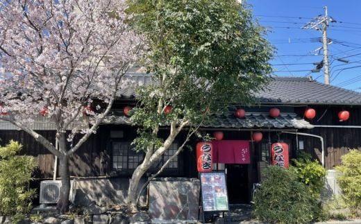 うなぎ 志おや 九州産 うなぎ 白焼 3本 塩 付 【スピード発送】 H-03