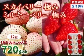 [数量限定] スカイベリー 極み×ミルキーベリー 極み 12粒《1月初旬～2月初旬に順次発送》｜いちご イチゴ 苺 フルーツ スカイベリー ミルキーベリー 果物 産地直送 栃木県産 [0575]