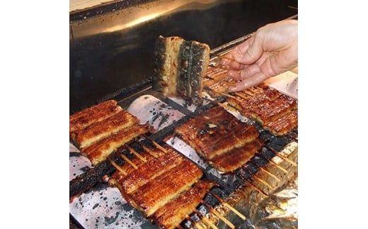 小松屋　うなぎ蒲焼セット | メディアに紹介されたうなぎ屋 国産 冷蔵 うなぎ 鰻 ウナギ 蒲焼き かば焼き 土用丑の日 ※離島への配送不可