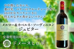 メルロー＆カベルネ・ソーヴィニヨン ジュピター750ml×1本 [ ヴィニョブル安曇野(ドメーヌ・ヒロキ) 長野県 池田町 48110337] ワイン 赤 赤ワイン