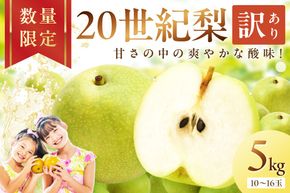 【先行予約／数量限定700】20世紀梨（訳あり） 5kg（10～16玉）（2026年8月下旬～発送）　DE00158
