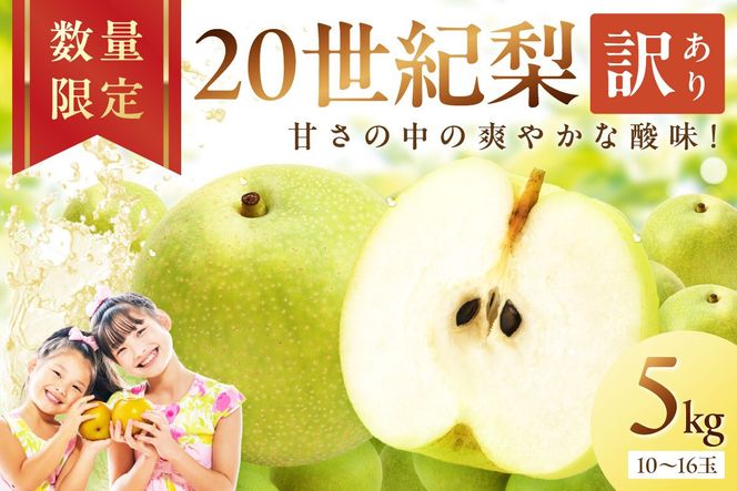 【先行予約／数量限定700】20世紀梨（訳あり） 5kg（10～16玉）（2026年8月下旬～発送）　DE00158