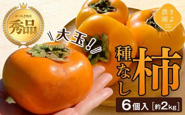 柿(種無し) 6個入 (約2kg)  秀品大玉【2024年9月下旬頃より発送】【KT1】XN90001